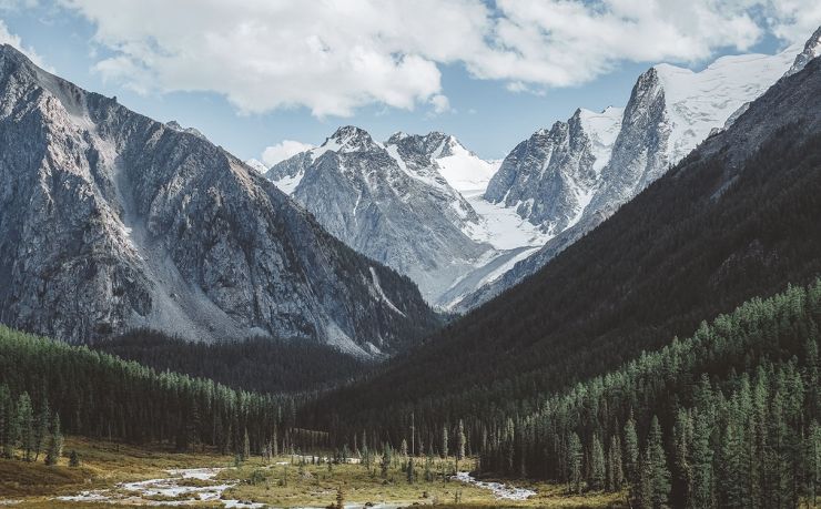 螺纹钢期货行情最新：供需博弈下的价格波动分析